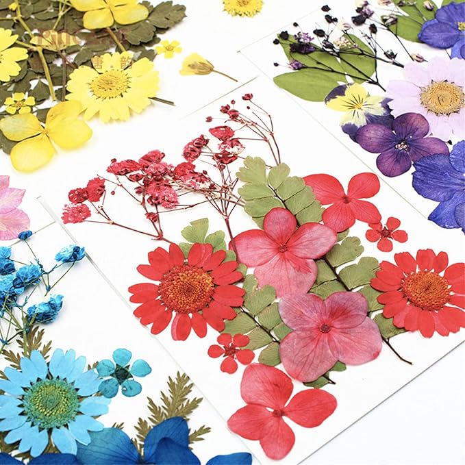 75 Pcs Red Dried Flowers Real Natural Pressed Leave Petals for DIY Resin Candle Jewelry Nail Pendant Crafts