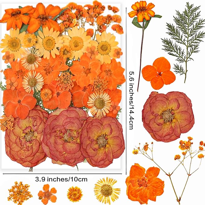 14 Types 37pcs Orange Dried Pressed Flowers for Resin Molds,YouthBro Real Natural Pressed Flowers for DIY Art Crafts,Candle Making, Nails Décor,Soap Making, Phone Case