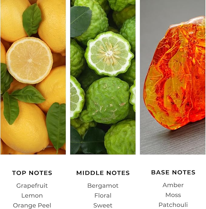 Brilliant Scents Aventus Fragrance Oil 120ml - Premium Diffuser Oil for Home, Office, Hotels - Long Lasting, Plant-Based, Meets IFRA Standards, USA-Made - Grapefruit, Floral, Moss