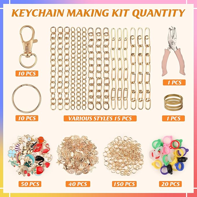 Starry 297 Pcs Keychain Making Kit, Including 10 Keychain Clips 15 Extender Chains 90 Charms Jewelry Plier Keychains Making Supplies for DIY Crafting