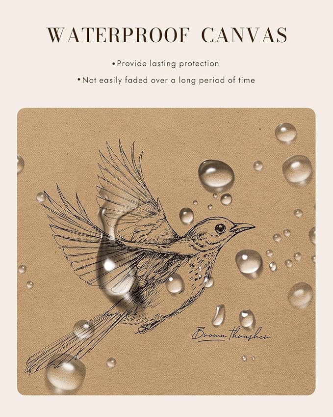 Bzstyleart Vintage Wall Art Decor,Georgia Bird Vintage Gold Framed Wall Art,Sketch Painting Picture,Room Decor Aesthetic,Canvas Prints for Apartment Decor Kitchen Bathroom Office,12L x 16W