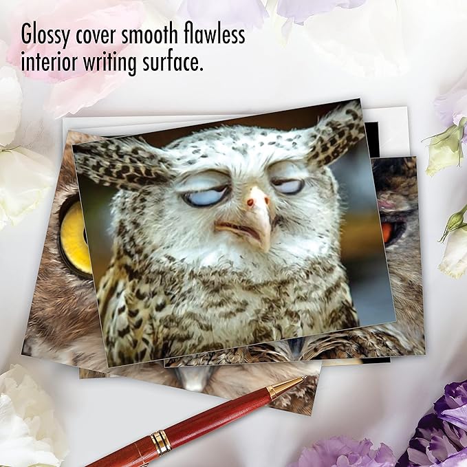 The Best Card Company - 10 Bird Note Cards Blank (4 x 5.12 Inch) - All Occasion Cards with Envelopes, Boxed Set - What a Hoot M1769BN