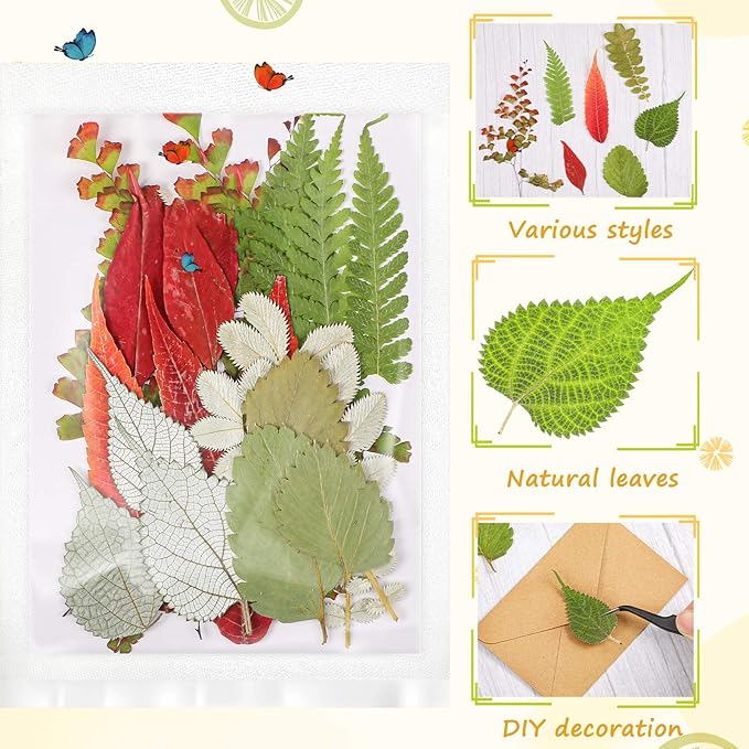 Nuanchu 99 Pieces Assorted Pressed Leaves for Crafts Real Dried Leaves for Resin Plant Herbarium Flowers for Art Craft DIY Jewelry Decoration Handmade Bookmarks, 5 Bags(Classic Style)
