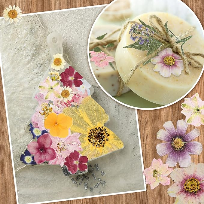 Nuanchu Dried Pressed Flowers for Crafts Resin Pressed Flowers Bulk Purple Dried Wildflowers Leave Natural with Tweezer DIY Christmas Crafts Supplies for Resin Mold Scrapbooking Nail Soap Making