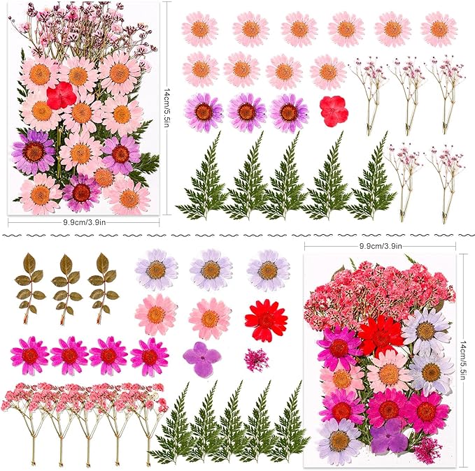 Natural Pressed Dried Flowers | Perfect for Resin Crafting, Art Projects, Scrapbooking, Nail Art, and Home Decor | Premium Preserved Petals & Leaves