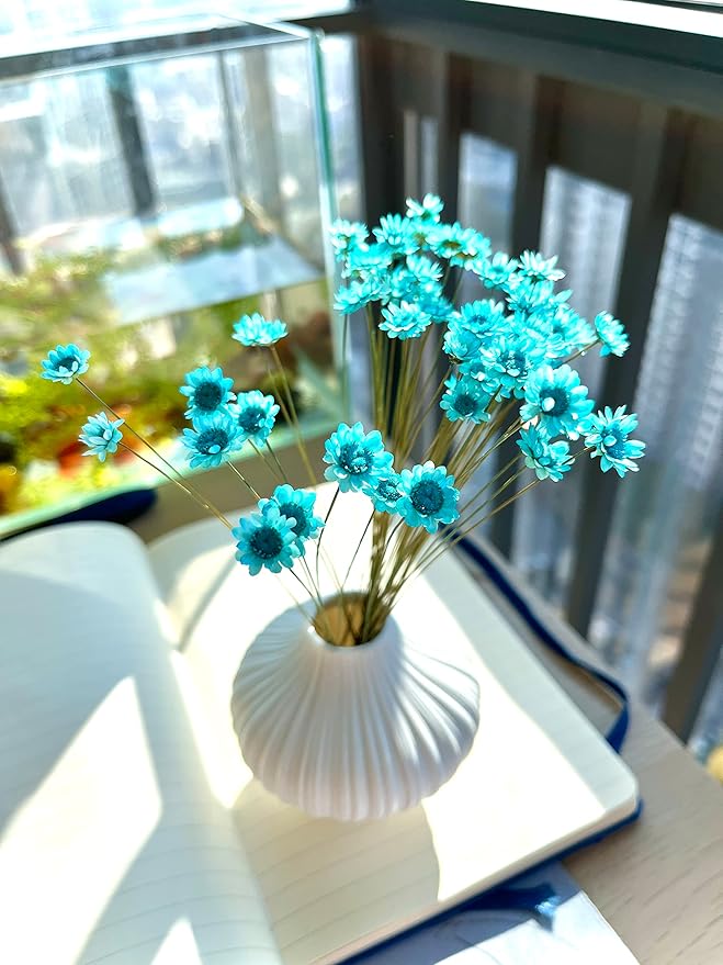 Natural - Dried - Flowers Brazilian Small Star Daisy Dried Decorative Mini Chamomile Bouquet for Wedding Floral Arrangements Home Decorations Valentine's Day Gifts (200 Stems) (Blue)
