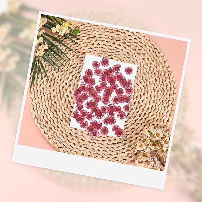 12-Pack Dried Pressed Flowers for Resin, Real Natural Bulk Dry Floral for Crafts/DIY Jewelry/Soap Making/Scrapbooking/Candle/Epoxy Resin Supplies [Red]