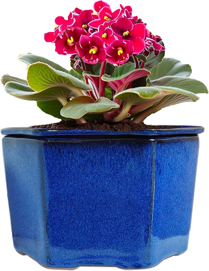 African Violet Pots 6 inch Hexagon Self-Watering Ceramic Violet Pots 4.50'' Opening (Blue)