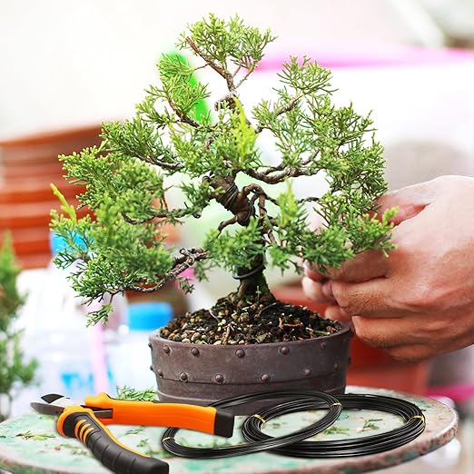 Mudder 5 Roll Aluminum Bonsai Training Wire Tree 160 Feet Total with Bonsai Wire Cutter Anodized Training for Holding Branches Small Trunks (Classic)