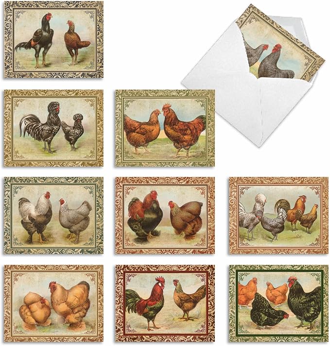 The Best Card Company - 10 Bird Note Cards Blank (4 x 5.12 Inch) - All Occasion Cards with Envelopes, Boxed Set - Card-A-Doodle-Do M2351OCB