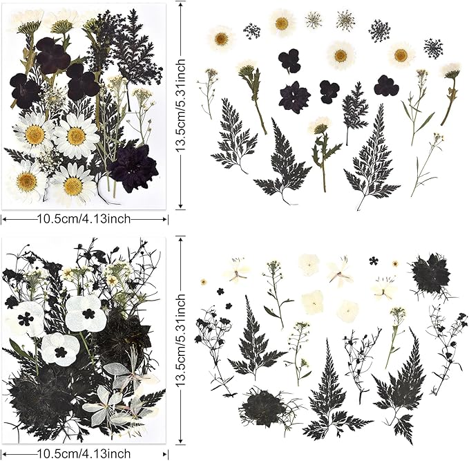 DALARAN Black Dried Pressed Flowers for Resin Molds, Bulk Real Natural Dry Floral for DIY Art Crafts, Epoxy Jewelry, Candle, Nails Decor, Phone Case,Soap Making