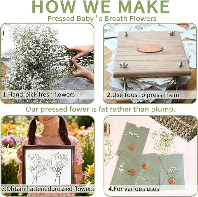150Pcs Mini Dried Pressed White Baby’s Breath Flowers Bulk - Real Natural Flat Flowers for Epoxy Craft, Scrapbooking, Wedding Invitations, Home Decor, DIY Gifts for Crafters & Event Planners (150)
