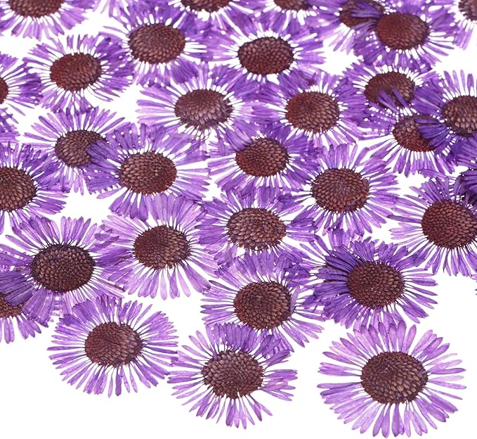60-Pack Dried Pressed Flowers for Resin, Real Natural Bulk Dry Floral for Crafts/DIY Jewelry/Soap Making/Scrapbooking/Handmade Candle/Epoxy Resin Supplies [Dark Purple]