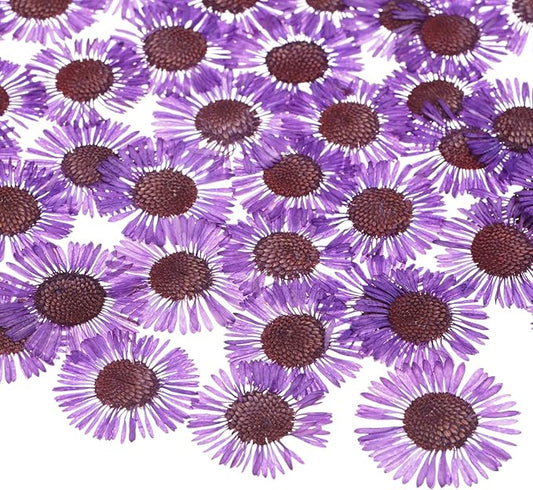 12-Pack Dried Pressed Flowers for Resin, Real Natural Bulk Dry Floral for Crafts/DIY Jewelry/Soap Making/Scrapbooking/Candle/Epoxy Resin Supplies [Dark Purple]