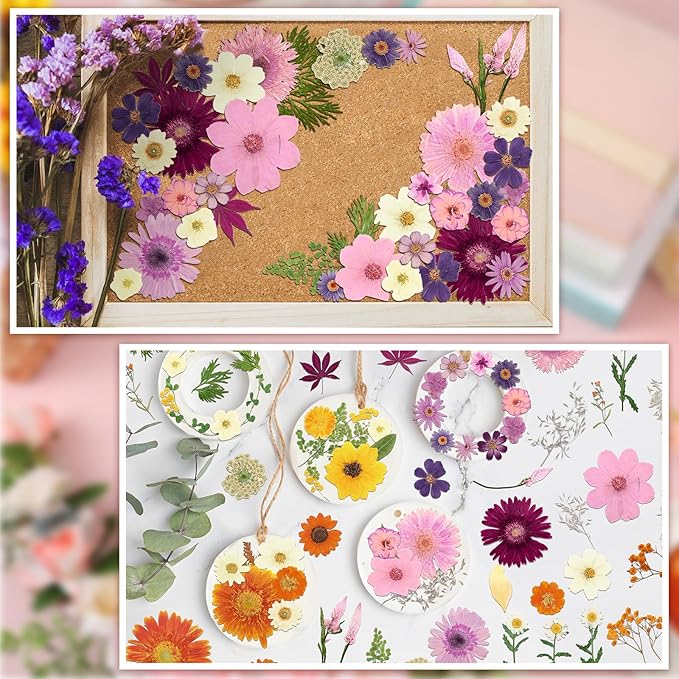 Nuanchu Dried Flower for Crafts Resin Pressed Flowers Bulk, Large Dried Wildflowers Leave Natural with Tweezer for Resin Mold Scrapbooking Nail Soap Candle Making Cake DIY Christmas Crafts Supplies