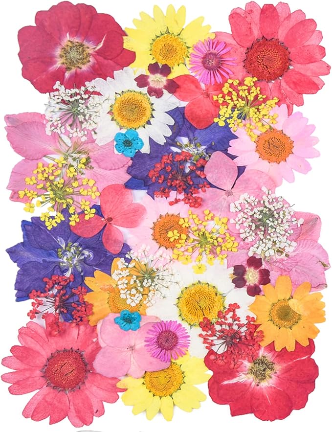 YouthBro Dried Pressed Flowers for Resin Molds,Real Natural Pressed Flowers for DIY Art Crafts,Candle Making, Nails Décor,Soap Making, Phone Case Red Pink