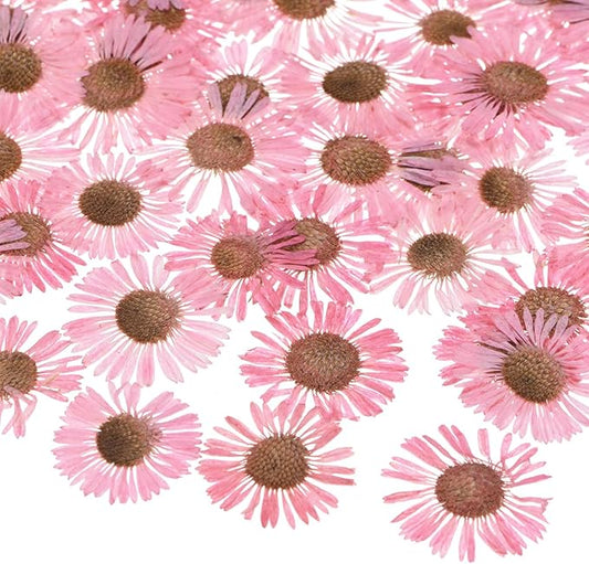 12-Pack Dried Pressed Flowers for Resin, Real Natural Bulk Dry Floral for Crafts/DIY Jewelry/Soap Making/Scrapbooking/Candle/Epoxy Resin Supplies [Pink]