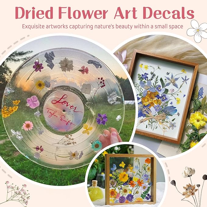 Pressed Dried Flowers 102pcs Natural Mixed Colors – Real Preserved Petals for Crafting, Art, Candles, Scrapbooking, Floral Decor, Nail Design – Dried Flowers for Crafts & Pressed Flowers Kit