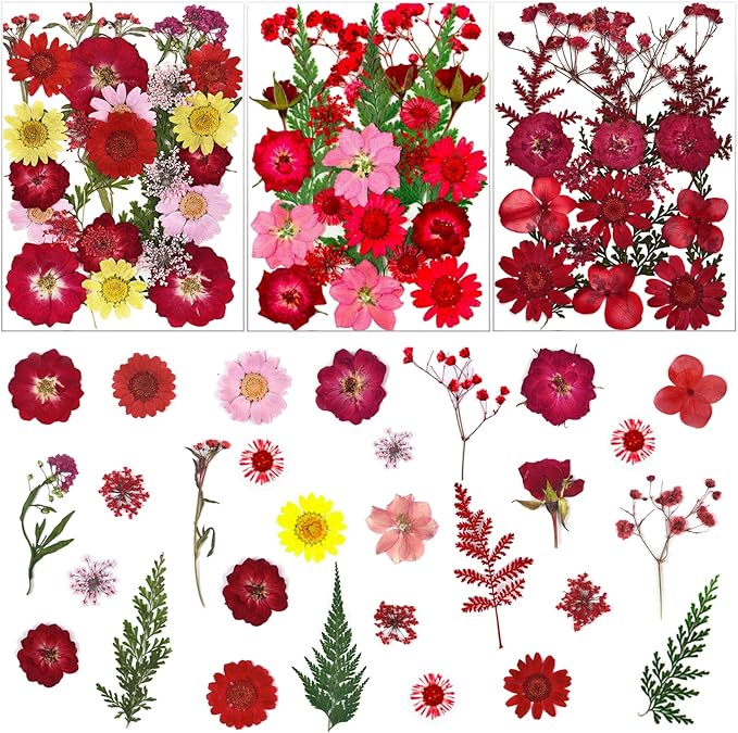 75 Pcs Red Dried Flowers Real Natural Pressed Leave Petals for DIY Resin Candle Jewelry Nail Pendant Crafts