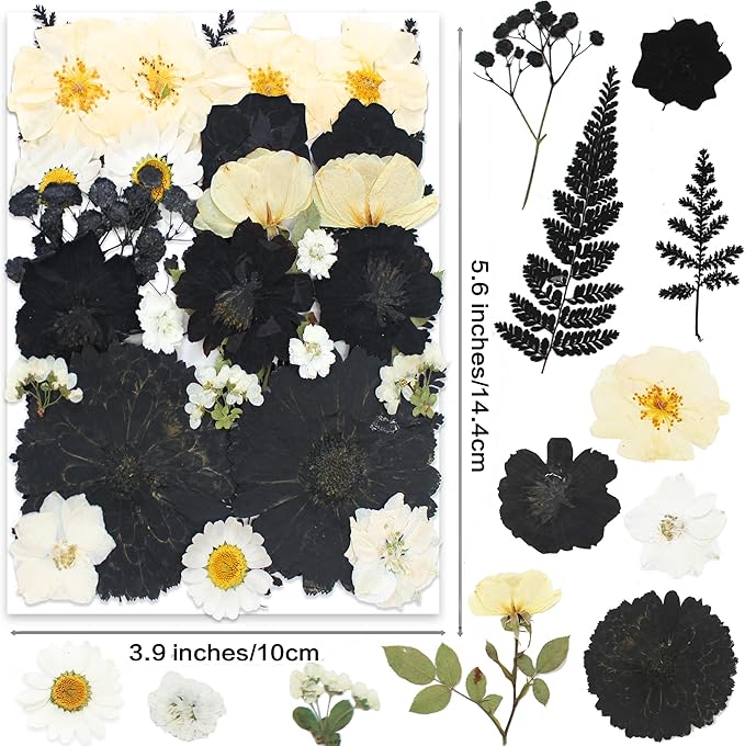 Large Black Dried Pressed Flower for Crafts,Large Big Real Nature Dry Pressed Flowers for Resin Molds Candle Making Phone Cases DIY Art Crafts Jewelry Making
