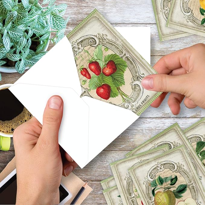 The Best Card Company - 10 Retro Blank Cards with Envelopes (4 x 5.12 Inch) - Artistic Boxed Assortment, Vintage Note Cards - French Fruit M4190OCB-B1x10