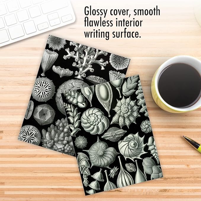 The Best Card Company - 10 Blank Note Cards with Envelopes (4 x 5.12 Inch) - Black & White Photos, Bulk Boxed Set - Sea World M9693OCB