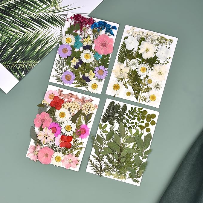 DALARAN Dried Flowers for Resin 100pcs Natural Flowers and Leaves Compressed Vacuum Packed DIY Pressed Flowers for Epoxy Jewelry Candles Soap Nail Production