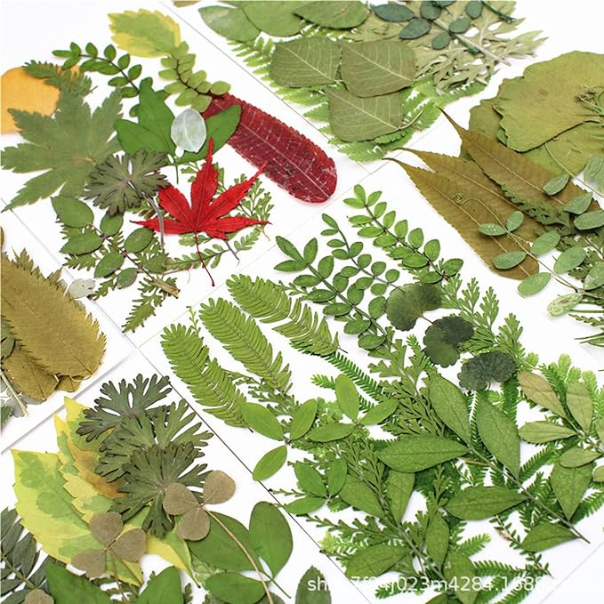 84 Pcs Dried Leaves Pressed Flowers for Resin Molds, Real Natural Assorted Dry Greenery for Leaf Craft DIY, Jewelry Making, Decoration Supplies, Soap and Candle Making