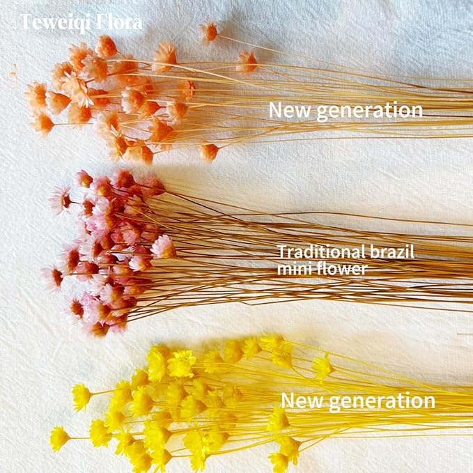 Natural - Dried - Flowers Brazilian Small Star Daisy Dried Decorative Mini Chamomile Bouquet for Wedding Floral Arrangements Home Decorations Valentine's Day Gifts (200 Stems) (Yellow )