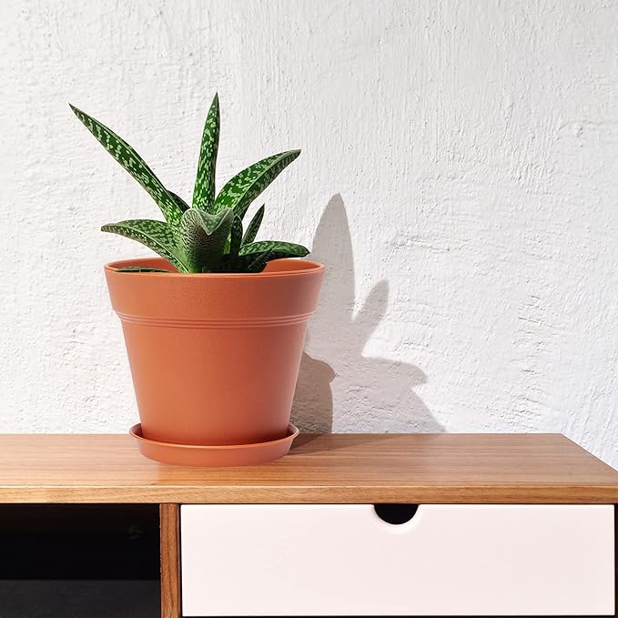 4 inch Plant Pots 16 Pack, Small Plant Pots with Drainage Holes and Tray, Thickened Indoor Planters Seedlings Pots for Flowers, African Violet, Succulent and All House Plants, Terracotta