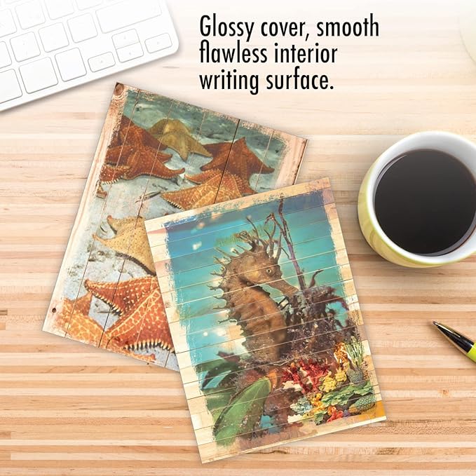 The Best Card Company - 10 Blank Note Cards with Envelopes (4 x 5.12 Inch) - Bulk All Occasion Cards Boxed - Ocean Driftwood Transfers AM6331OCB-B1x10