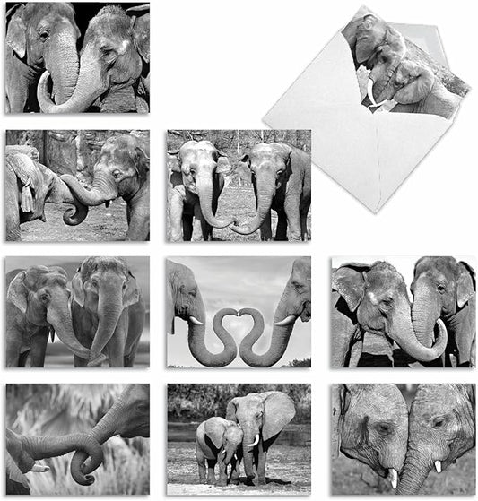 The Best Card Company - 10 Blank Note Cards with Envelopes (4 x 5.12 Inch) - Black & White Photos, Bulk Boxed Set - Trunks of Love M2370OCB