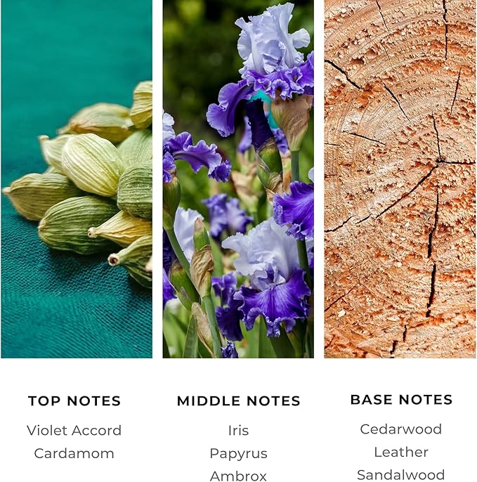 Brilliant Scents Santal Dreams Fragrance Oil 500ml - Premium Diffuser Oil for Home, Office, Hotels - Long Lasting, Plant-Based, Meets IFRA Standards, USA-Made - Violet, Iris, Sandalwood