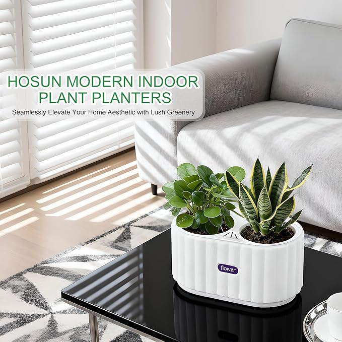 HOSUN 4 Inch Dual Compartment Self Watering Planter - Indoor Plastic Plant Pot with Drainage Holes, Reservoir & Wicking Rope, Low Maintenance Modern Flower Pot for Succulents/Aloe Vera (White)