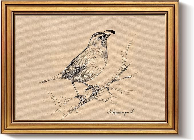 Bzstyleart Vintage Wall Art Decor for Living Room,California State Bird Vintage Gold Framed Wall Art,Sketch Painting Picture,Room Decor Aesthetic,Canvas Prints for Apartment Decor Office,12L x 16W