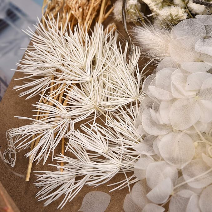 DALARAN 3 Pack Dried Flowers for Candle Making DIY Pressed Dried Flowers Multiple Natural Pressed Flowers Colorful Decorative Dried Pressed Fowers for Crafts