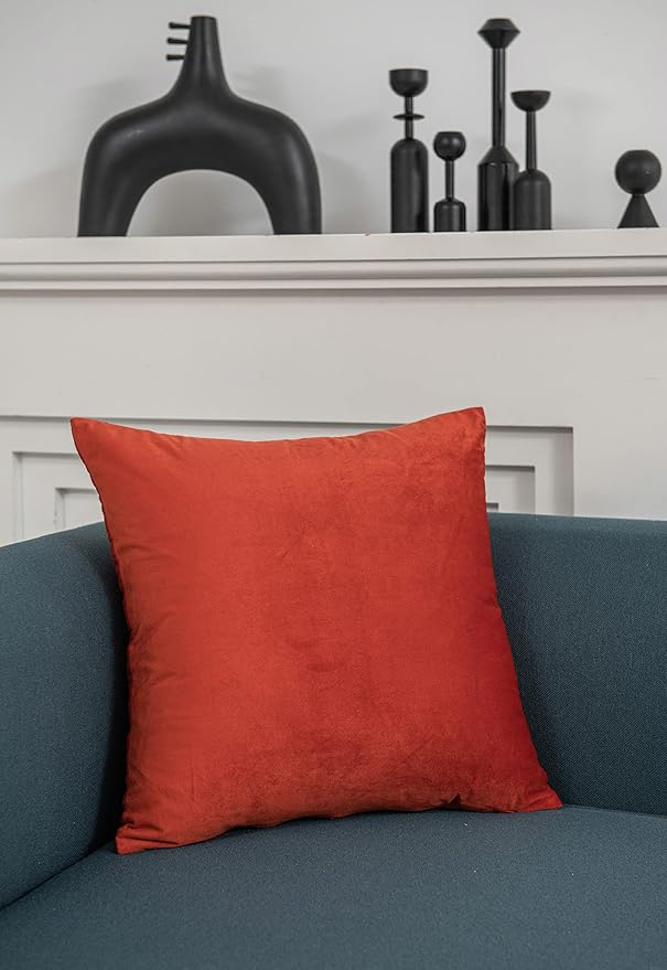 Fall Couch Pillow Cases 20x20 Burnt Orange: 2 Pack Cozy Soft Velvet Square Throw Pillow Covers for Farmhouse Home Decor