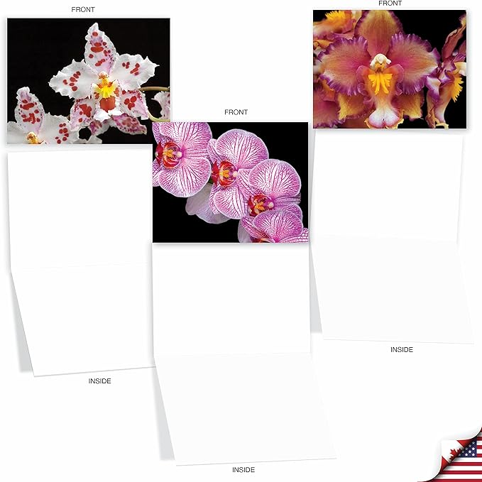 The Best Card Company - 10 Blank Note Cards with Flowers (4 x 5.12 Inch) - Floral Notecards, All Occasion Boxed Assortment - Orchid Nights M1734BN