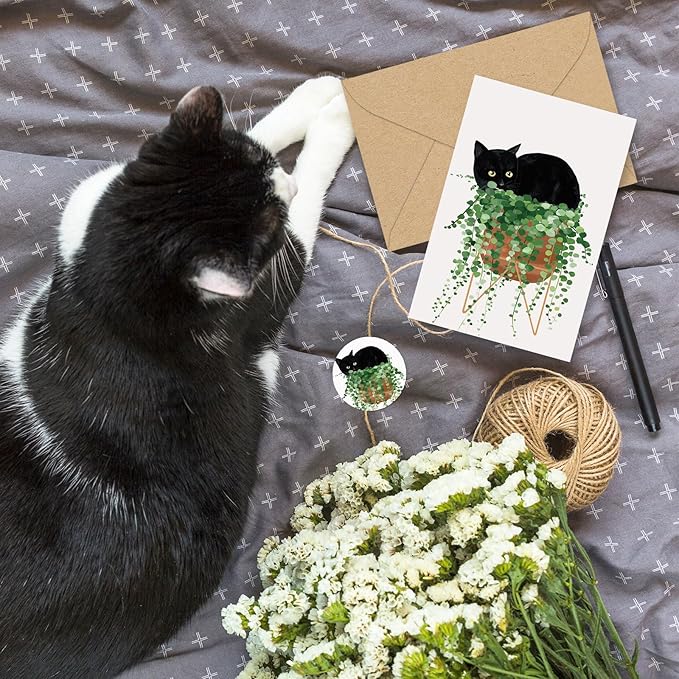 Whaline 36 Pcs Botanical Black Cat Greeting Cards Blank Note Cards 6 style Blank Note Card with Envelope Stickers for Party Invitations, 4 x 6 Inch