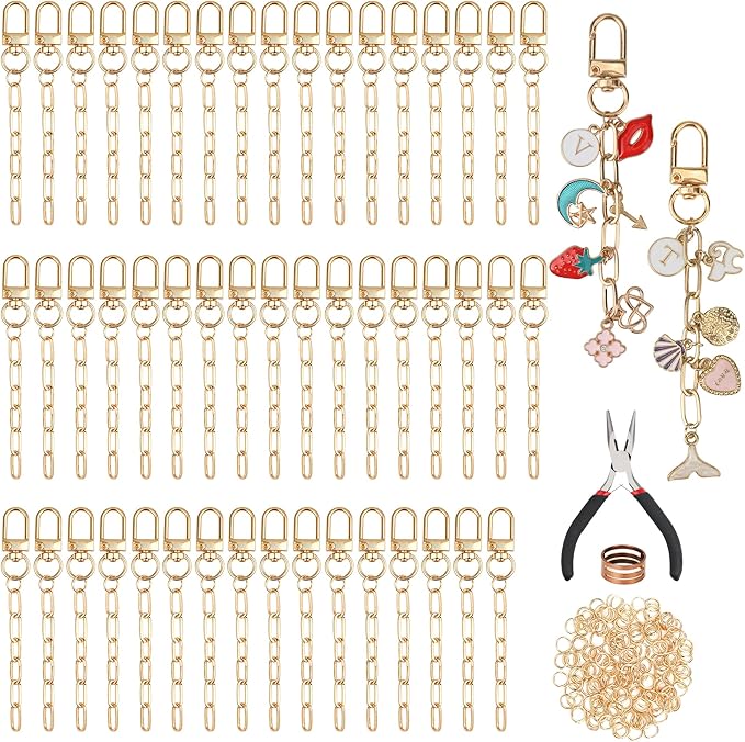 Starry 252Pcs Keychain Making Kit 50 Set Keychain Clips DIY Bag Charm Kit with Extender Chain Bulk 200 Jump Ring for Jewelry Bags Accessories DIY Craft Supplies