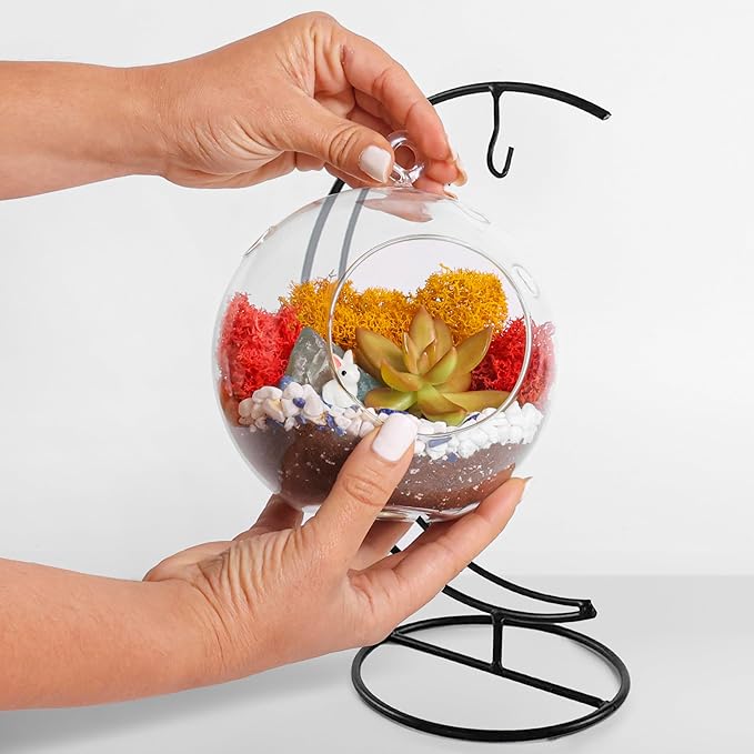 5" Glass Globe Succulent Terrarium Kit, Hanging DIY Starter Kit for Kids and Adult, Metal Stand, Reindeer Moss, Crystal & Rocks, Tools, Figurine (Live Plant Included)