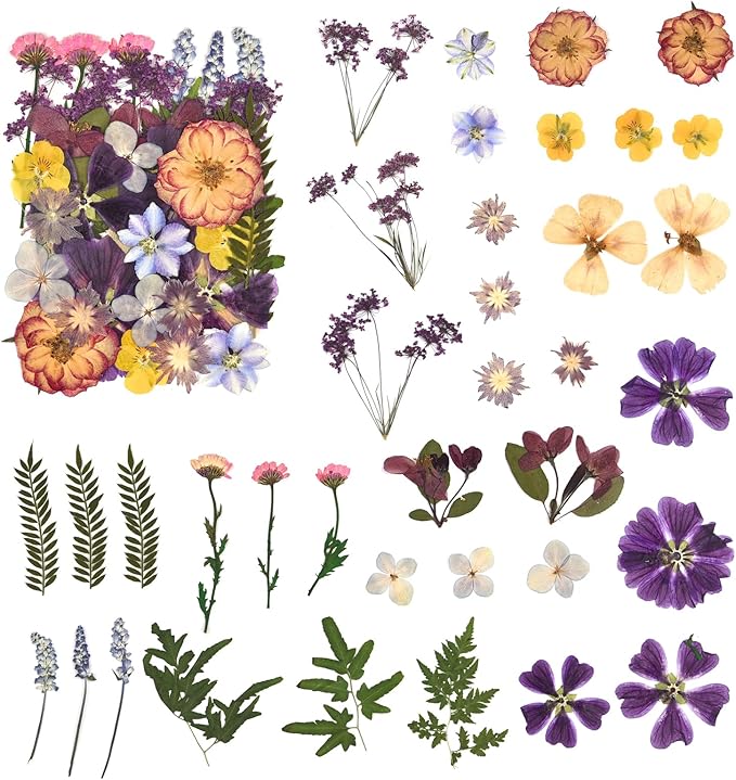 DALARAN 40 pcs Purple Flowers for Resin Model Real Dried Pressed Flowers Dry Leaves Bulk Natural Herbs Kit for Scrapbooking DIY Art Crafts, Epoxy Jewelry, Candle, Soap Making, Nails Decor