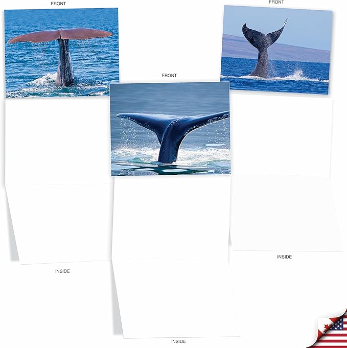 The Best Card Company - 10 All Occasion Blank Cards (4 x 5.12 Inch) - Nautical, Ocean, Sea Life Assortment of Notecards - Tales AM6839OCB-B1x10
