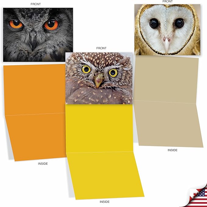 The Best Card Company - 10 Bird Note Cards Blank (4 x 5.12 Inch) - All Occasion Cards with Envelopes, Boxed Set - What a Hoot M1769BN