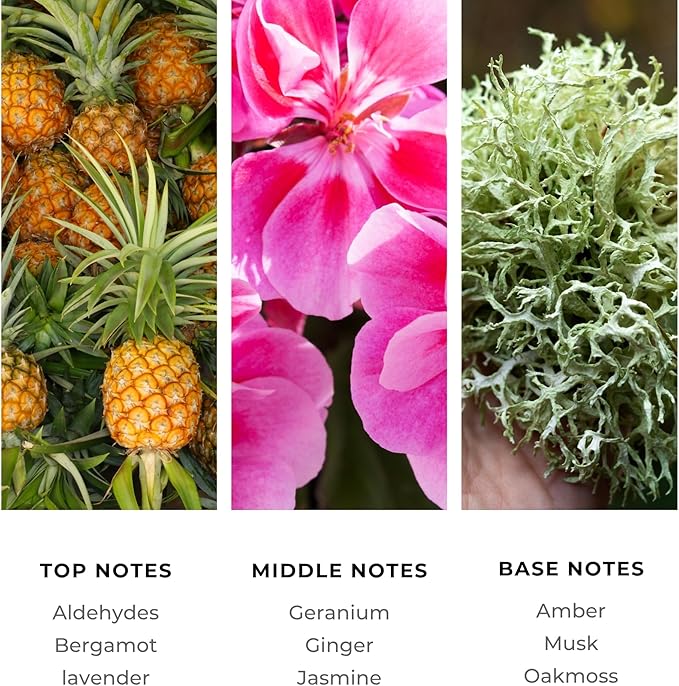 Brilliant Scents Opulent Seduction Fragrance Oil 120ml - Premium Diffuser Oil for Home, Office, Hotels - Long Lasting, Plant-Based, Meets IFRA Standards, USA-Made - Pineapple, Ginger, Oakmoss