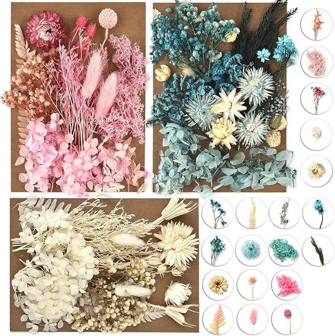 DALARAN 3 Pack Pressed Flowers for Candle Making DIY Dried Flowers Multiple Natural Pressed Flowers Colorful Decorative Dried Flowers
