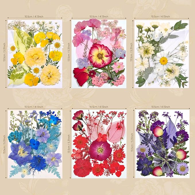 150 Pcs Dried Pressed Flowers for Resin,Real Nature Dried Flowers for Crafts Bulk Dry Flowers Leaves Kit Used for Resin Molds Scrapbooking DIY Art Crafts Candle Soap Making Décor
