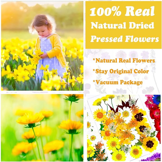 93 Pcs Yellow Dried Pressed Flowers Real Natural Leave Petals for DIY Resin Candle Jewelry Nail Crafts