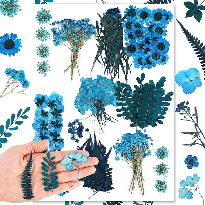 Fabbay 200 Pcs Dried Pressed Flowers Real Dry Natural Flower Leaf Dried Flowers for Resin Pressed Flower Kit for Plant Herbarium Scrapbooking DIY Candle Crafts (Blue)