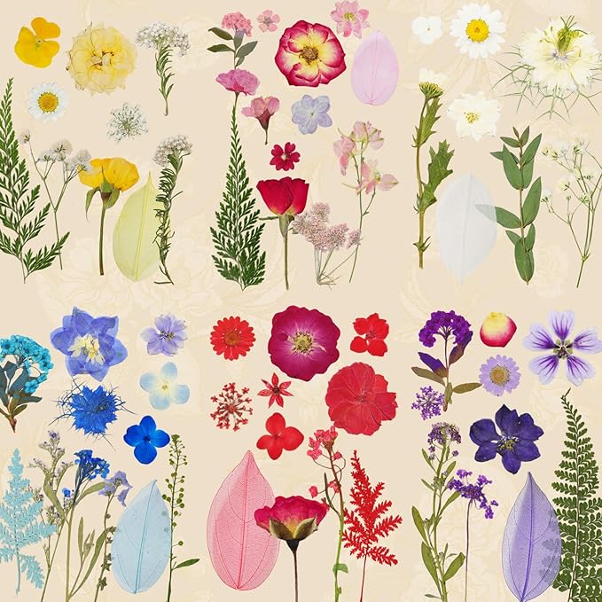 150 Pcs Dried Pressed Flowers for Resin,Real Nature Dried Flowers for Crafts Bulk Dry Flowers Leaves Kit Used for Resin Molds Scrapbooking DIY Art Crafts Candle Soap Making Décor
